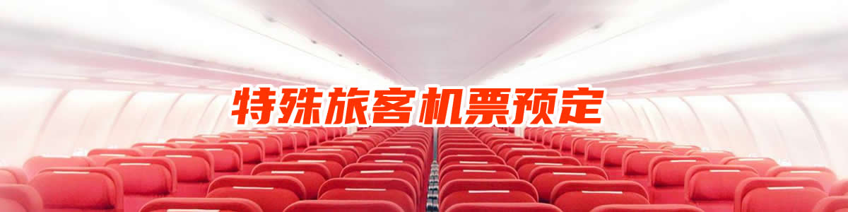 特殊旅客机票