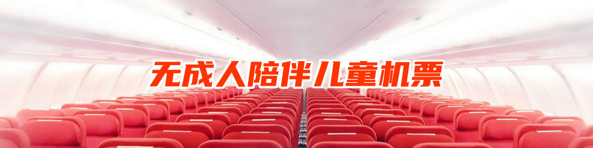 特殊旅客机票